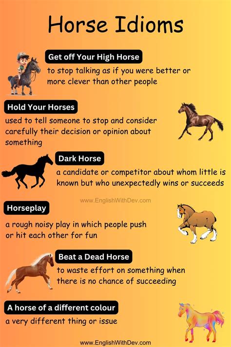 horse phrases catchy|90 Horse Idioms & Horse Sayings with Meanings • .